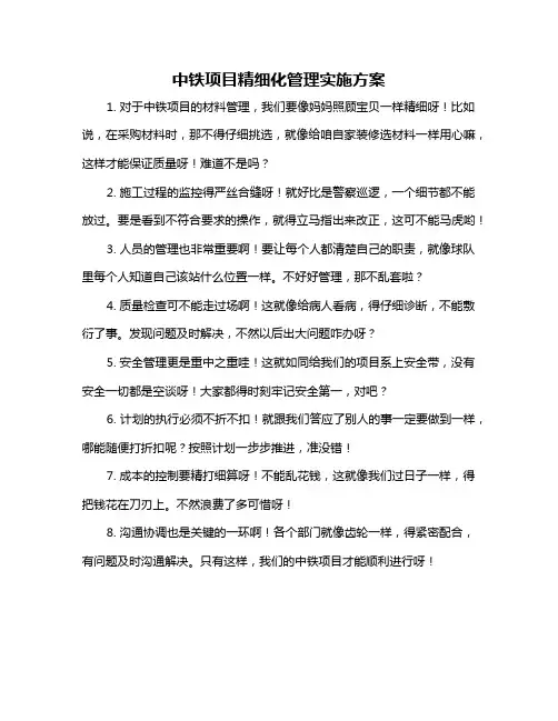 中铁项目精细化管理实施方案