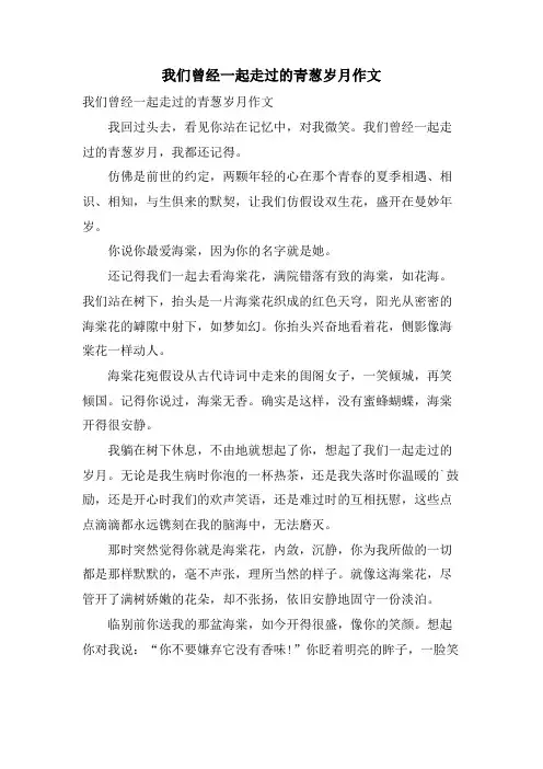 我们曾经一起走过的青葱岁月作文