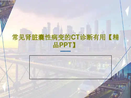 常见肾脏囊性病变的CT诊断有用【精品PPT】27页PPT