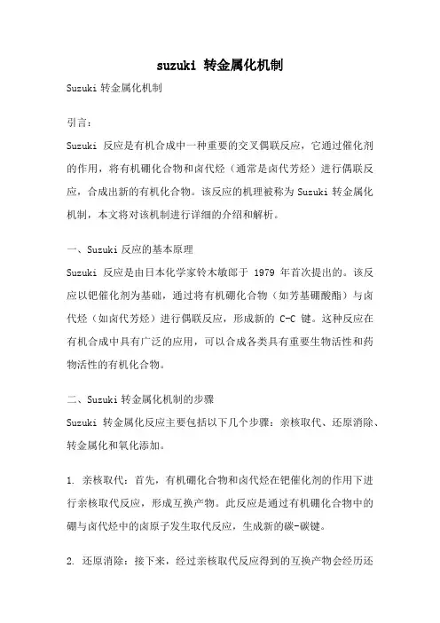 suzuki 转金属化机制