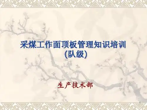 顶板管理培训课件(队级)