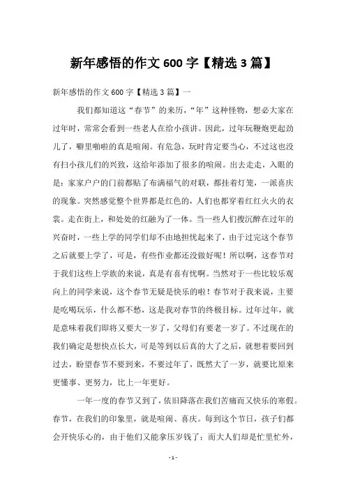 新年感悟的作文600字【3篇】