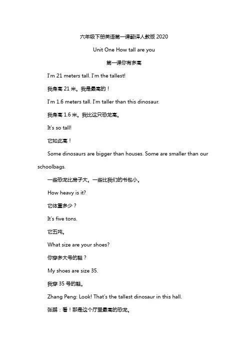 六年级下册英语第一课翻译人教版2020