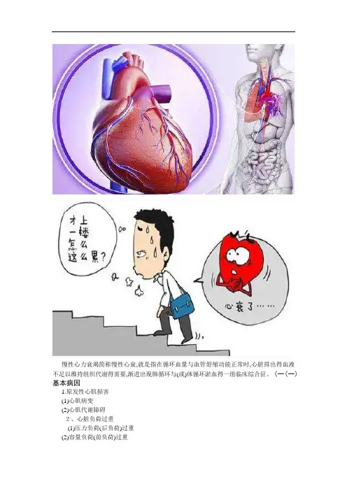 心衰病理生理及处理
