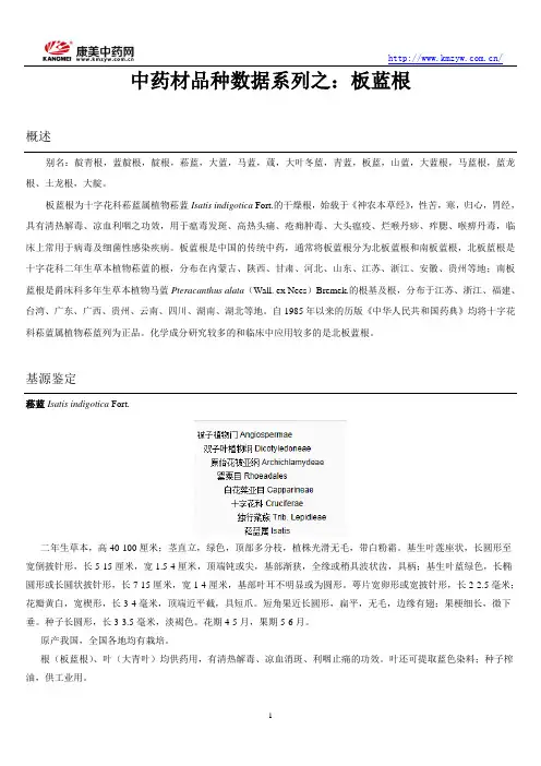 中药材品种数据系列之：板蓝根