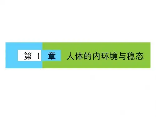 新人教版必修3高中生物第1章人体的内环境与稳态章末高效整合课件