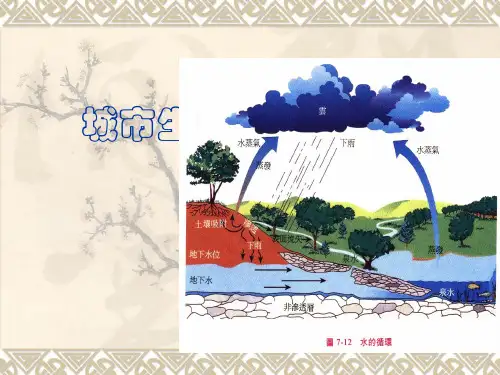 生态学概述