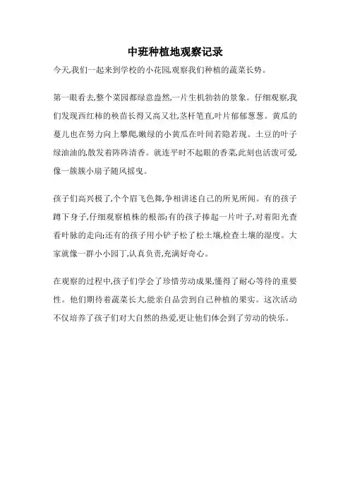 中班种植地观察记录