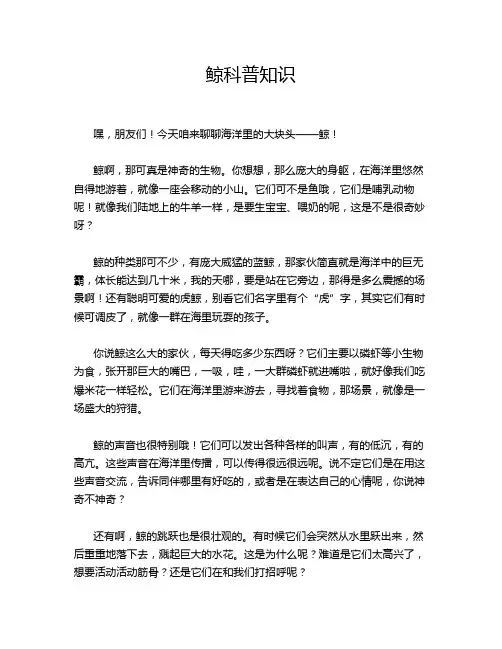 鲸科普知识