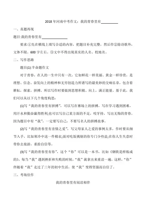 中考满分作文：我的青春里有------