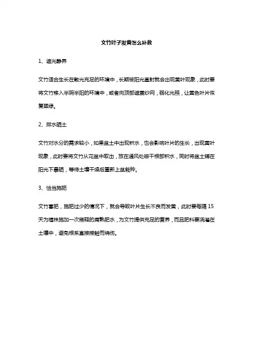 文竹叶子发黄怎么补救
