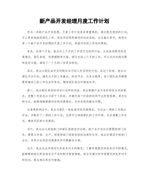 新产品开发经理月度工作计划
