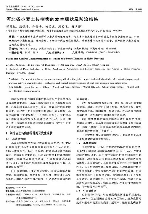 河北省小麦土传病害的发生现状及防治措施