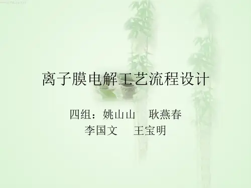 离子膜电解工艺流程