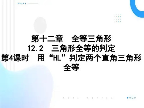 12.2 第4课时 用“HL”判定两个直角三角形全等课件2024—2025学年人教版数学八年级上册