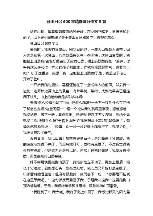 登山日记600字精选满分作文5篇