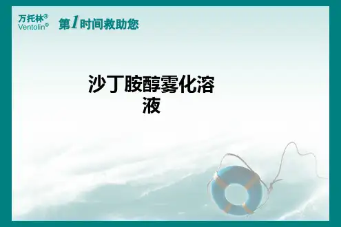沙丁胺醇雾化溶液ppt课件