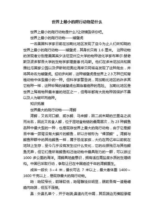 世界上最小的爬行动物是什么