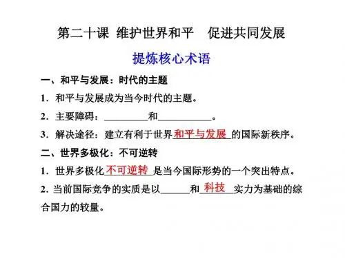 当代国际社会PPT课件171