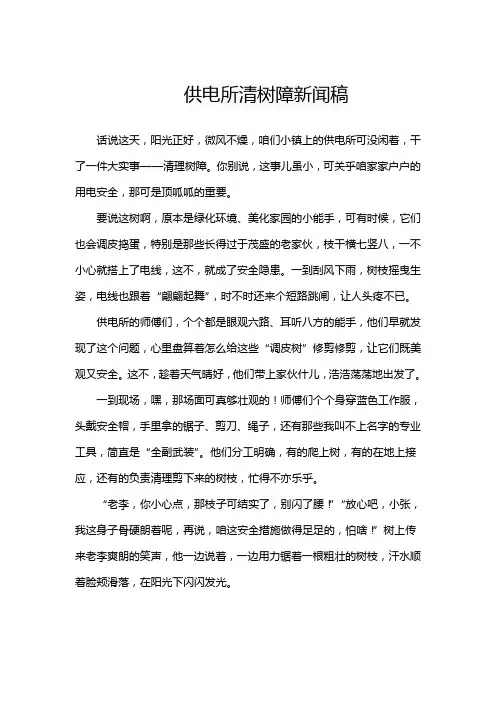 供电所清树障新闻稿