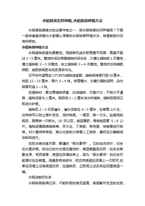 水稻秧苗怎样种植_水稻秧苗种植方法