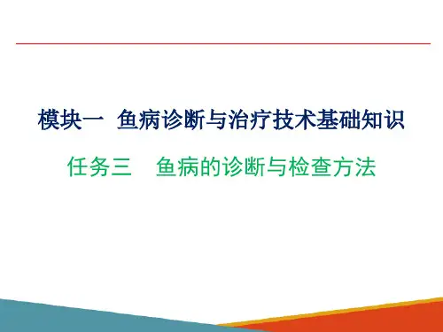 鱼病的诊断与检查方法(水产动物疾病防治课件)