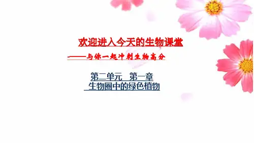 2024年中考一轮复习：生物圈中的绿色植物复习课件