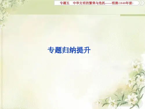 2020届高考历史(通史版)一轮复习专题五中华文明的繁荣与危机——明清(1840年前)课件(33张)