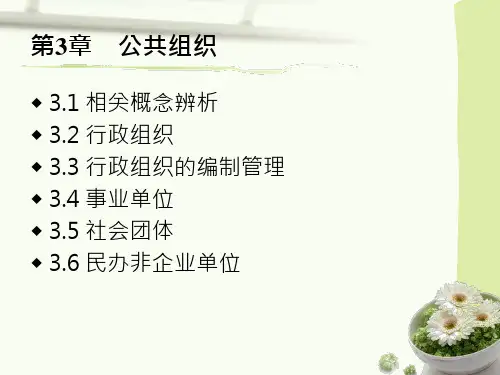 【公共管理学】第三章 公共组织