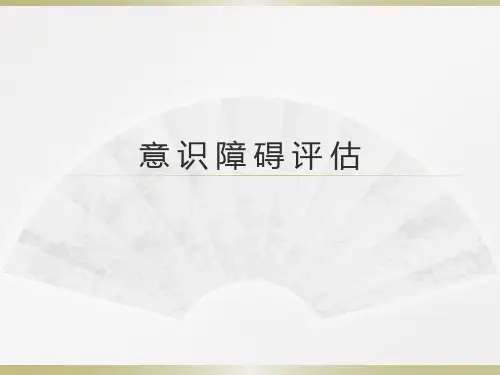 意识障碍评估