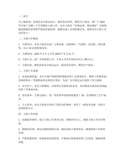 电厂精品大修工作总结报告