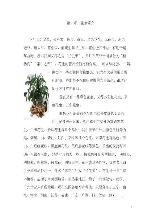 花生简介