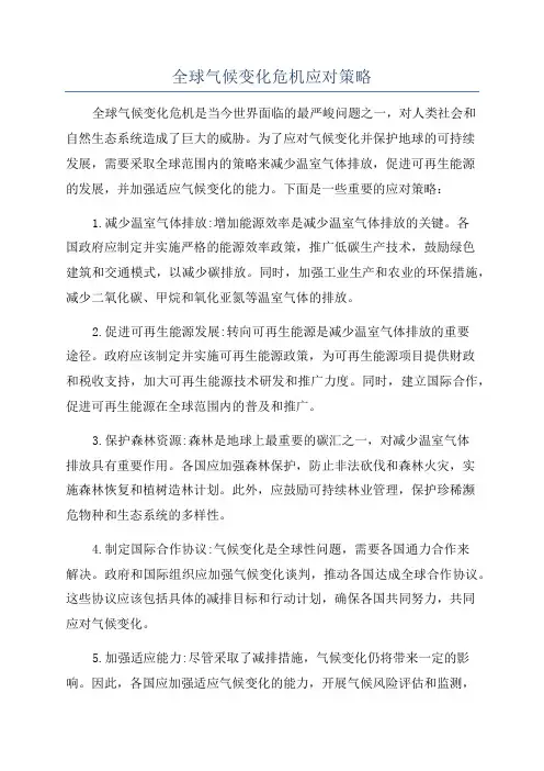全球气候变化危机应对策略