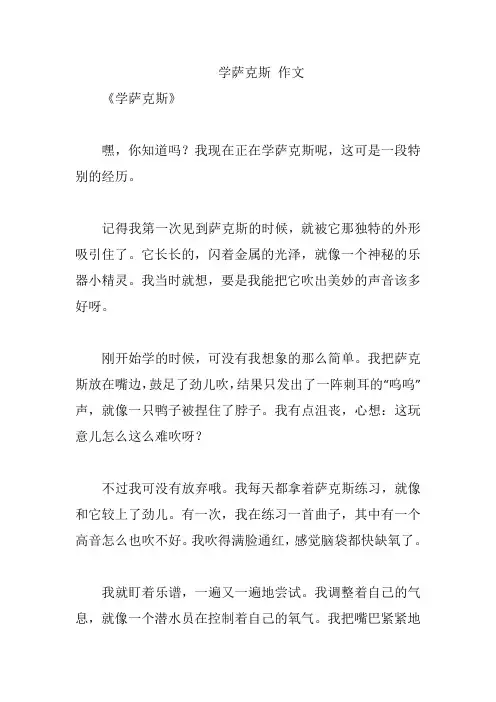 学萨克斯 作文