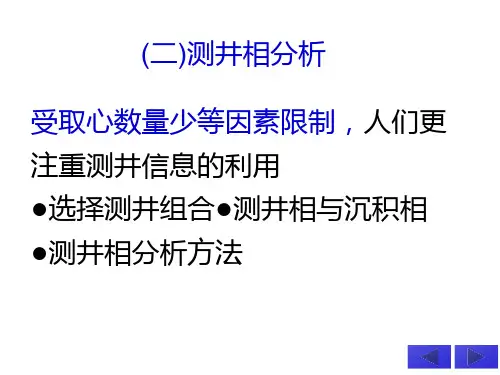 测井相分析