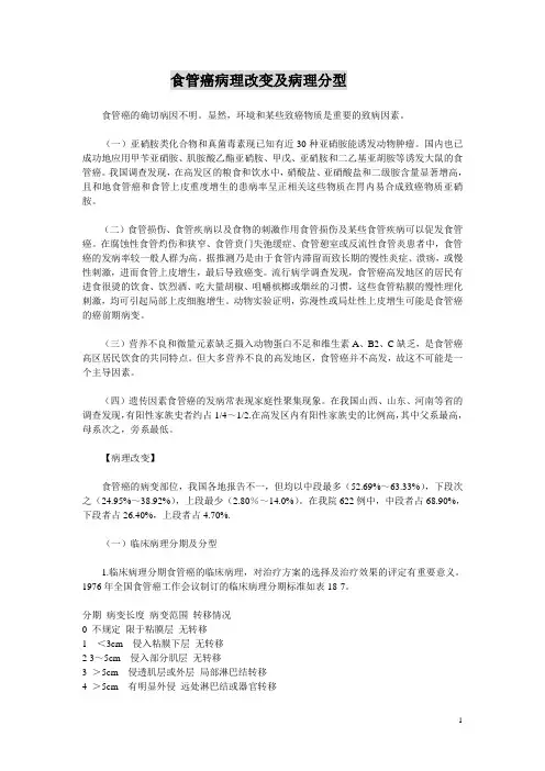 食管癌病理改变及病理分型