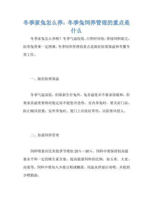 冬季家兔怎么养：冬季兔饲养管理的重点是什么