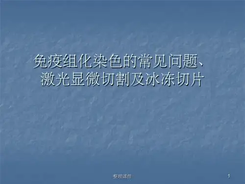 免疫组化染色的常见问题及定量分析