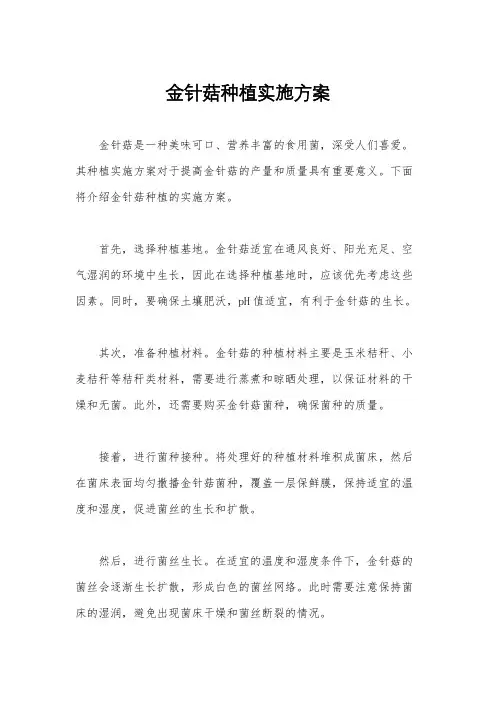 金针菇种植实施方案