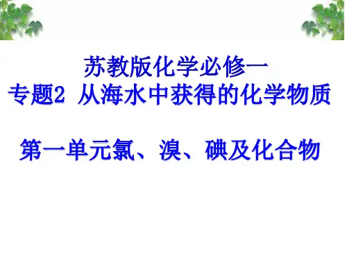 苏教版高中化学必修一专题2 第一单元氯、溴、碘及其化合物 课件(共20张PPT)