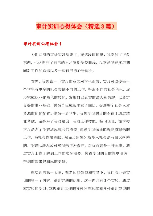 审计实训心得体会(精选3篇)