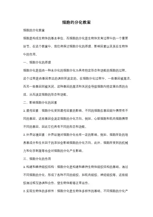 细胞的分化教案