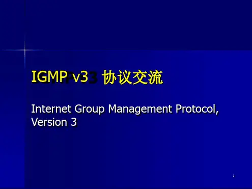 IGMP-v3协议交流文档