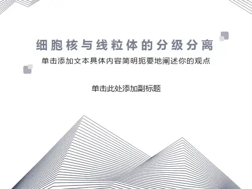 细胞核和线粒体的分离和观察