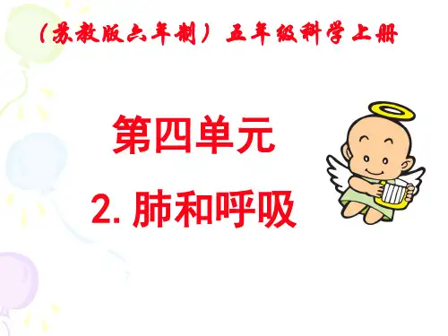 2.肺与呼吸
