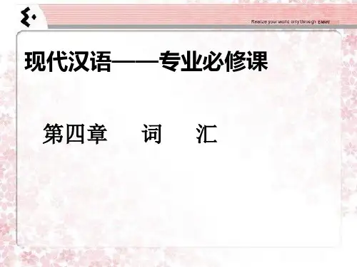 现代汉语上册教学课件第四章词汇