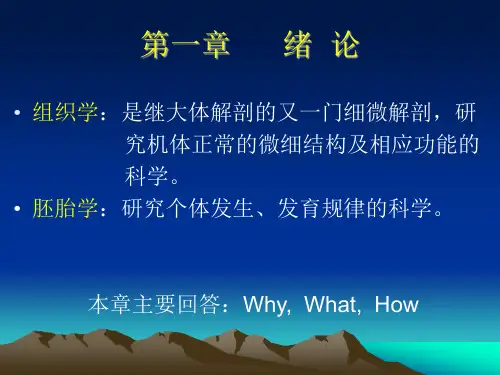 一章绪论ppt课件