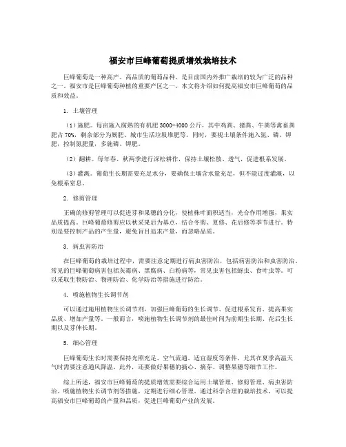 福安市巨峰葡萄提质增效栽培技术