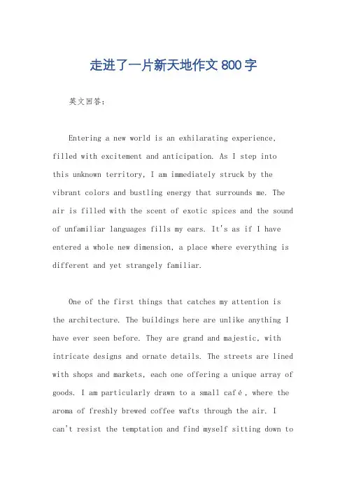 走进了一片新天地作文800字