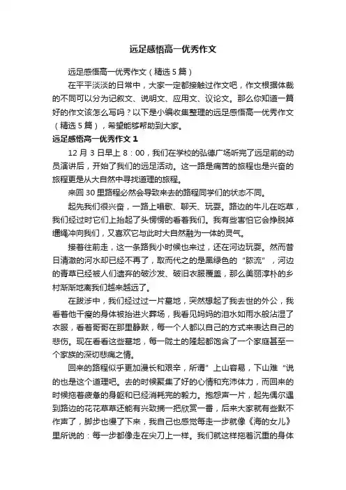 远足感悟高一优秀作文